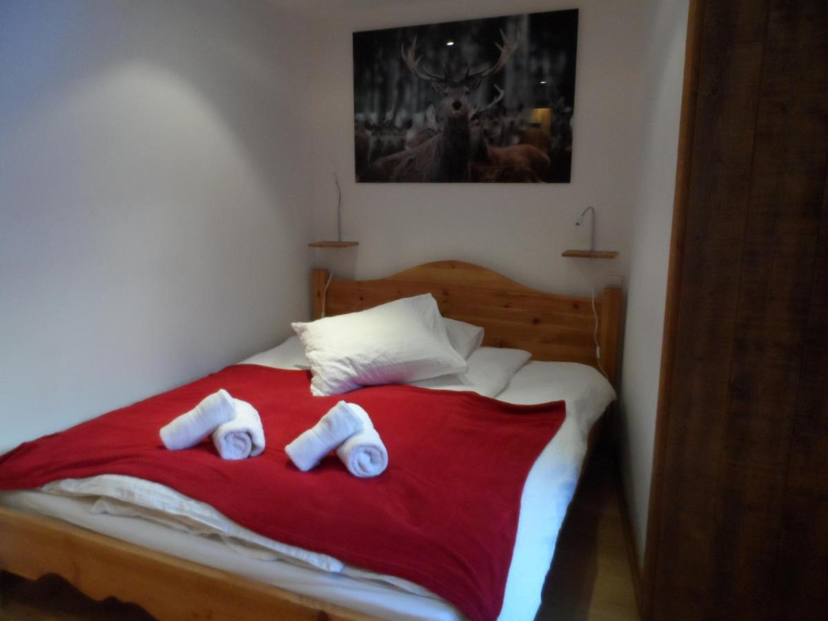 Prachtig Familie Appartement Voor 6 Personen In Het Hart Van Argentiere, Chamonix Mont-Blanc Exteriér fotografie